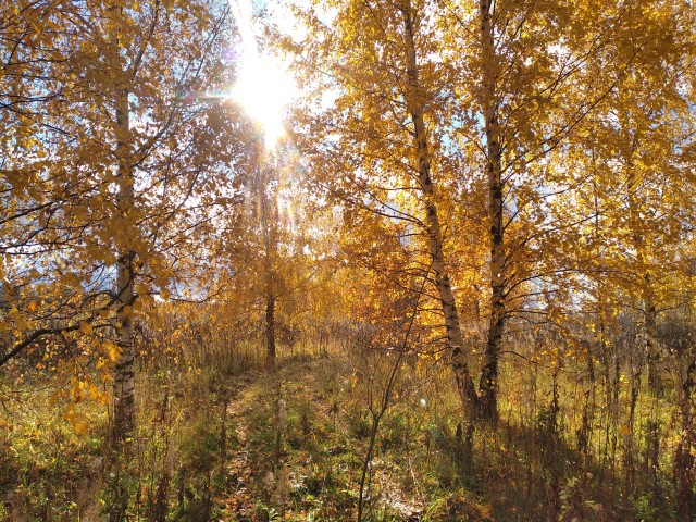 Осень