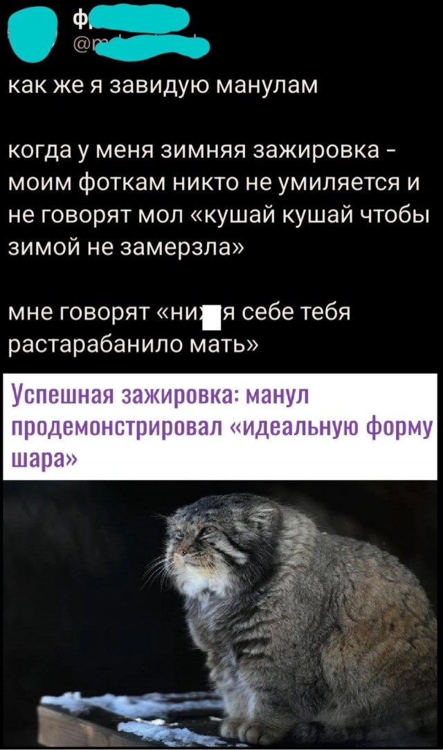 Юмор в картинках и без
