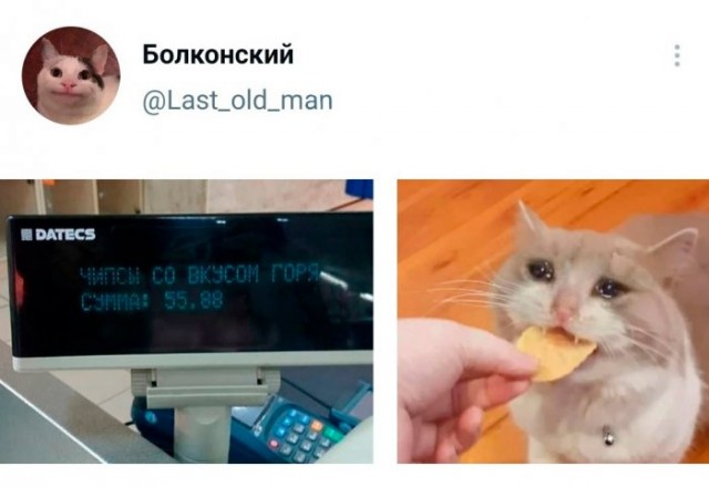 Веселые картинки в пятницу (16.01)