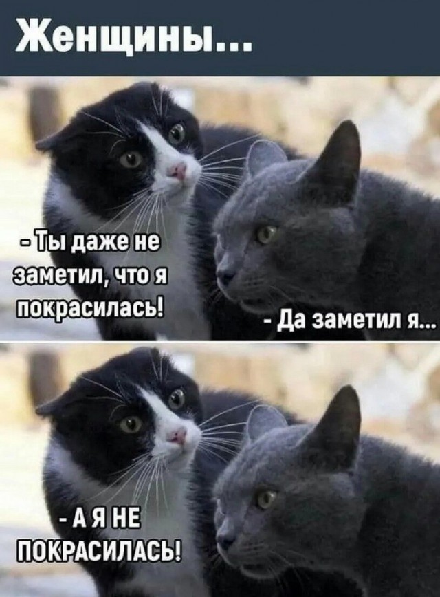 Картинки про отношения М и Ж