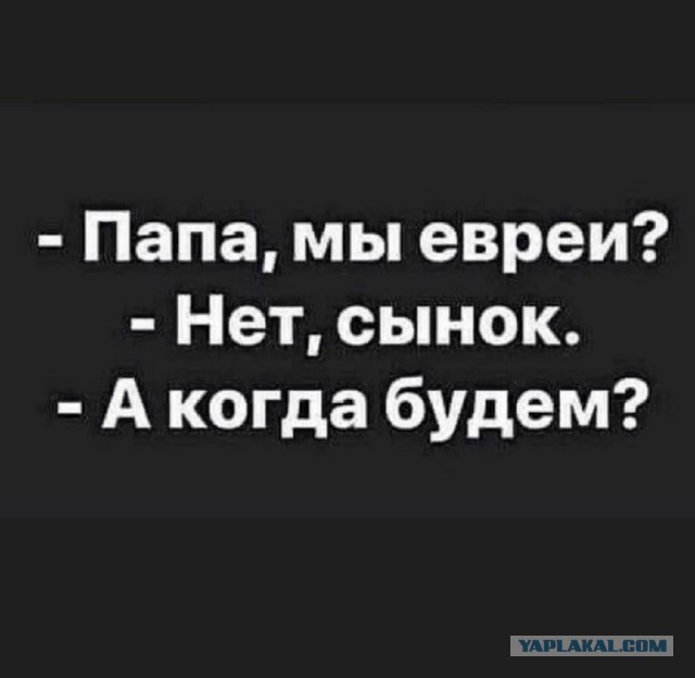 Веселые картинки в пятницу (20.03)