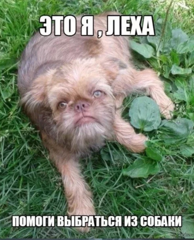 Новый тренд ИИ