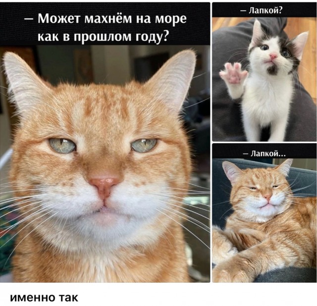 Субботние картинки