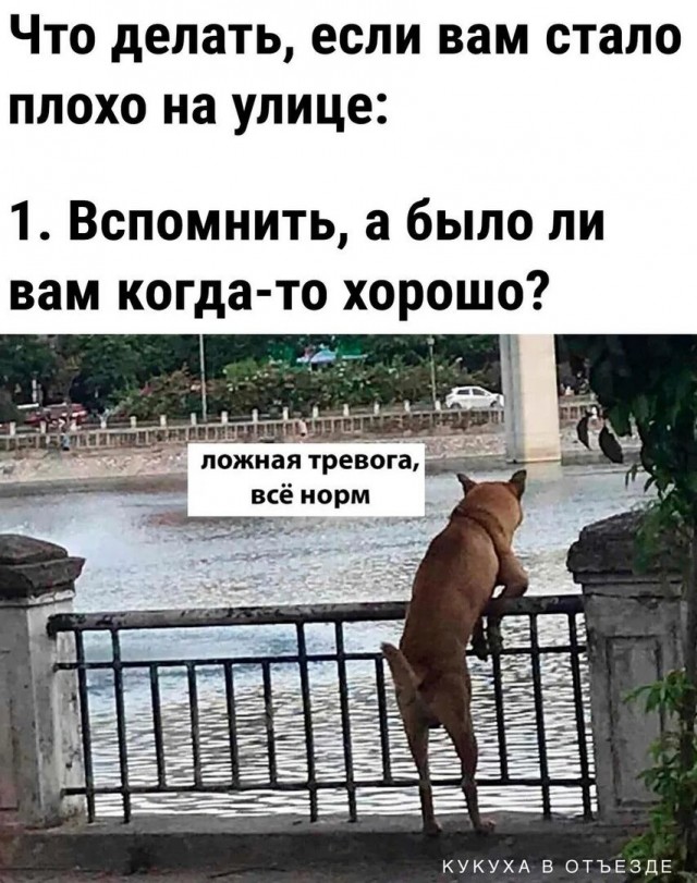 А мы вообще когда-то жили?