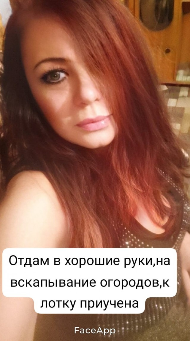 Картинки без критики