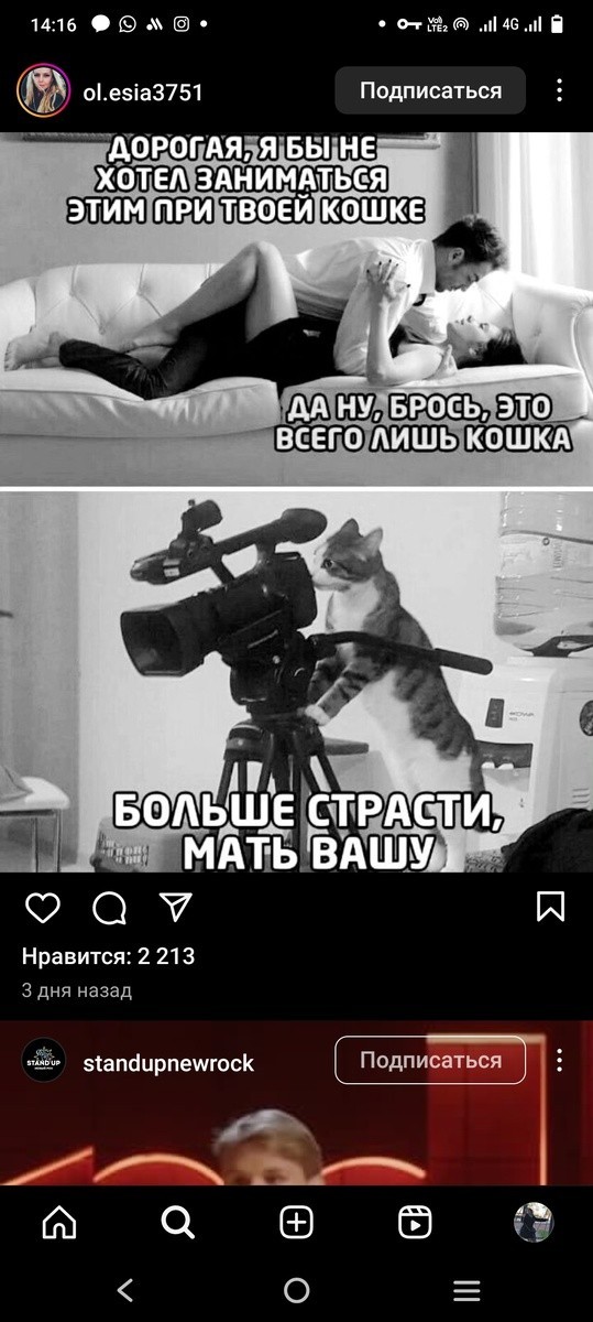 Понимают ли домашние животные, что их хозяева занимаются сексом. Как хозяева относятся к наблюдению за ними животных.