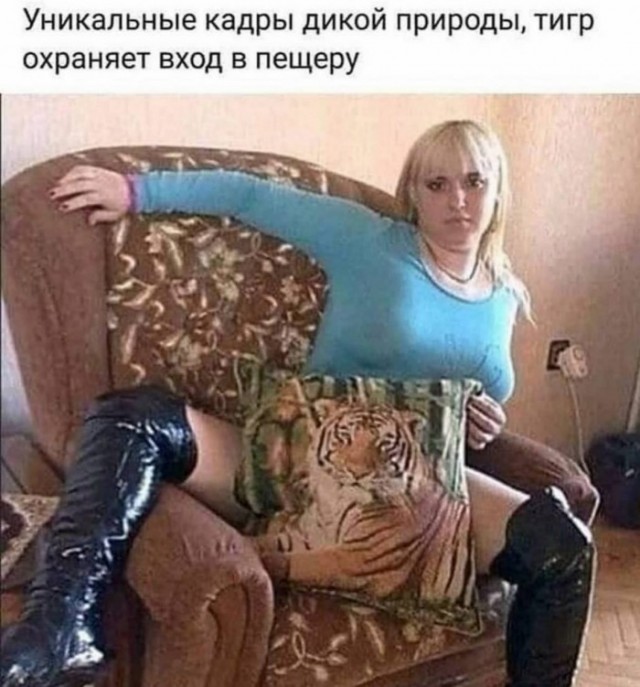 Картиночки, баянчики 15 июня