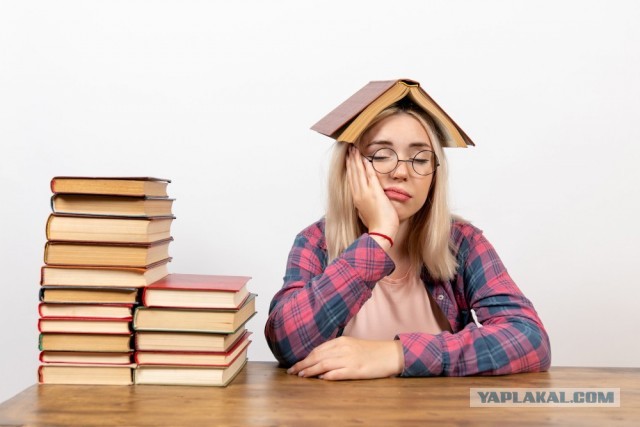На кого учиться сейчас, чтобы зарабатывать в будущем?