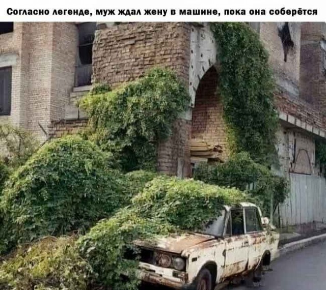Картинки с надписями про авто
