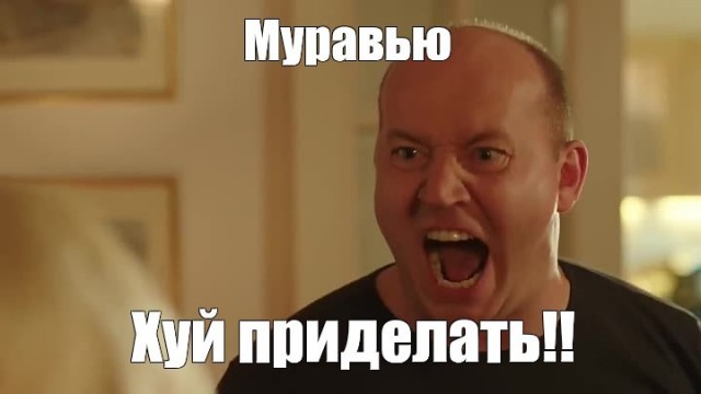 Муху научили смотреть порно