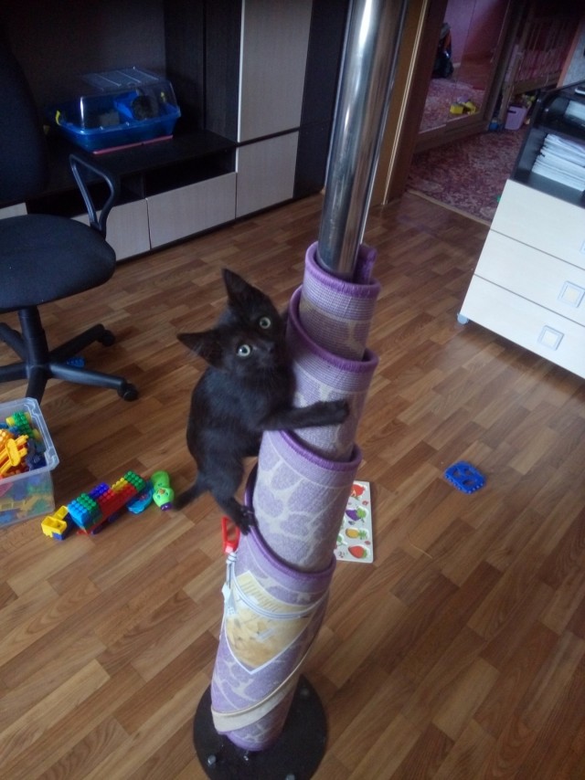 Скиньте рандомную хрень