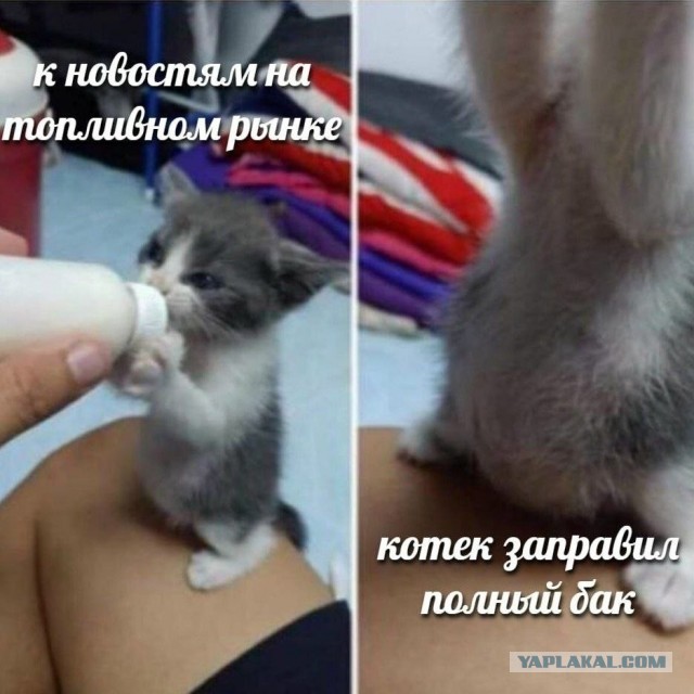 Скиньте рандомную хрень