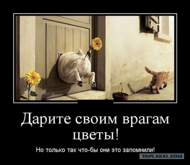 Империя справедливости