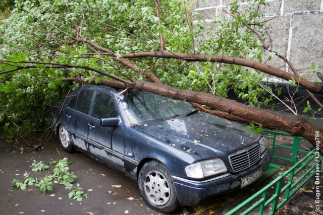Последствия урагана в Лефортово