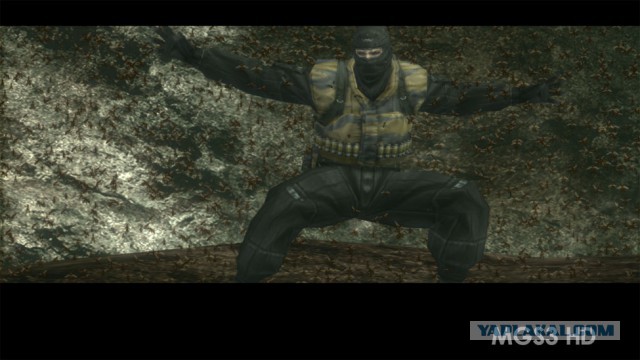 Вернулся как-то хозяин дома после долгого