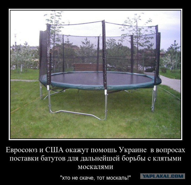 Вы будете смеяться, но они опять скачут..