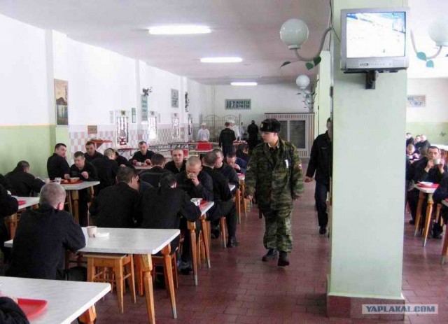 Солдатское питание