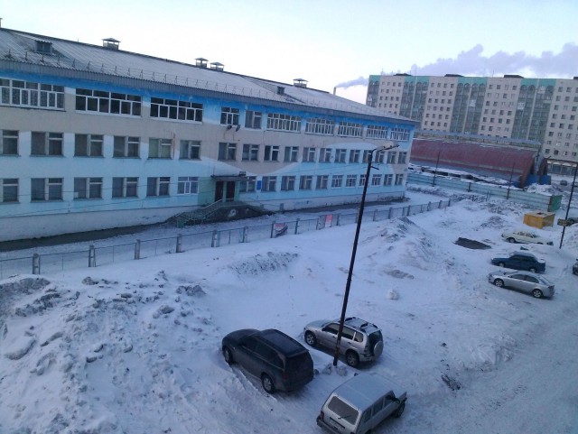 Жизнь домашнего приюта для котеек 7