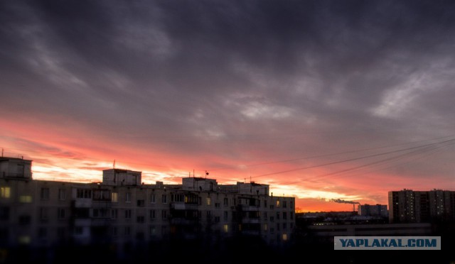 Немного своих фото
