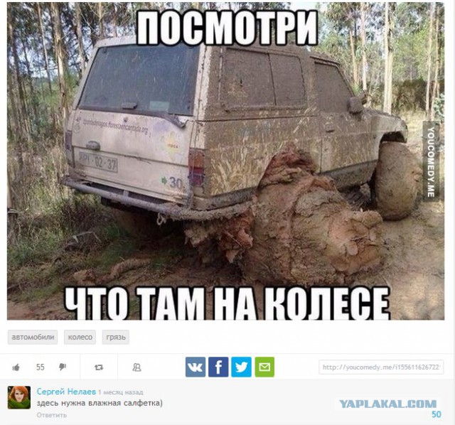 Смешные комментарии из социальных сетей