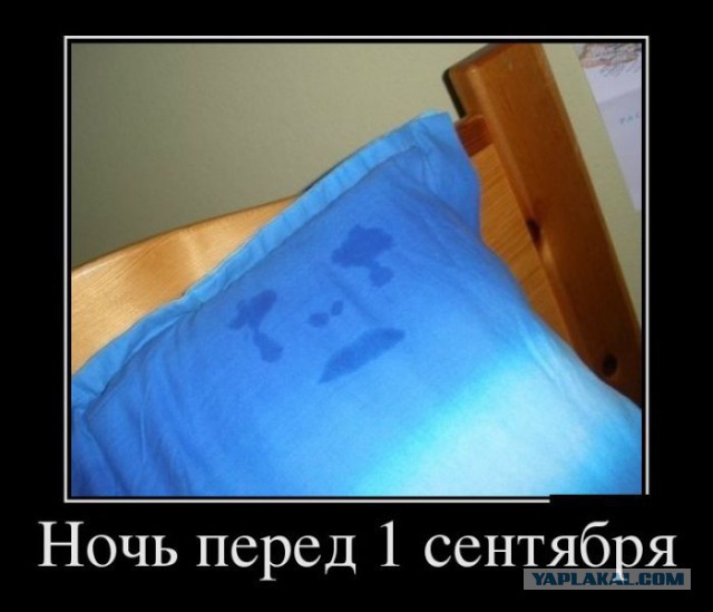 Немного смешных картинок из сети