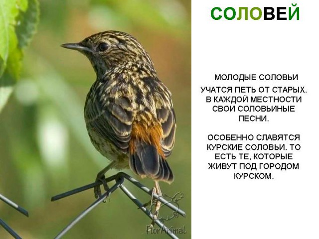 Итоги Кулинарного конкурса