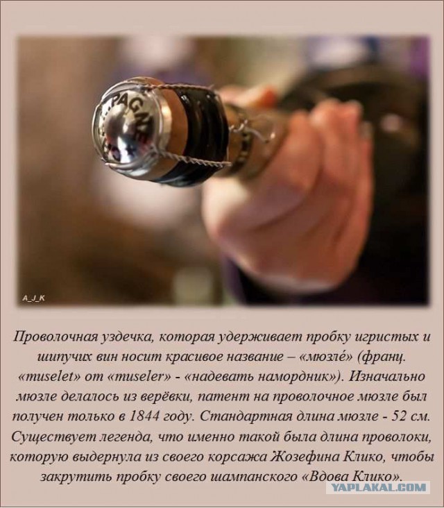 20 фактов обо всем