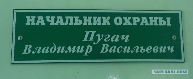 20 случаев, когда фамилия и профессия созданы друг