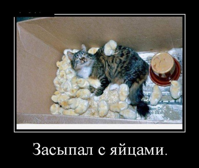 Картинки из сети на вторник