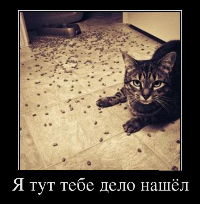 Очередные картинки