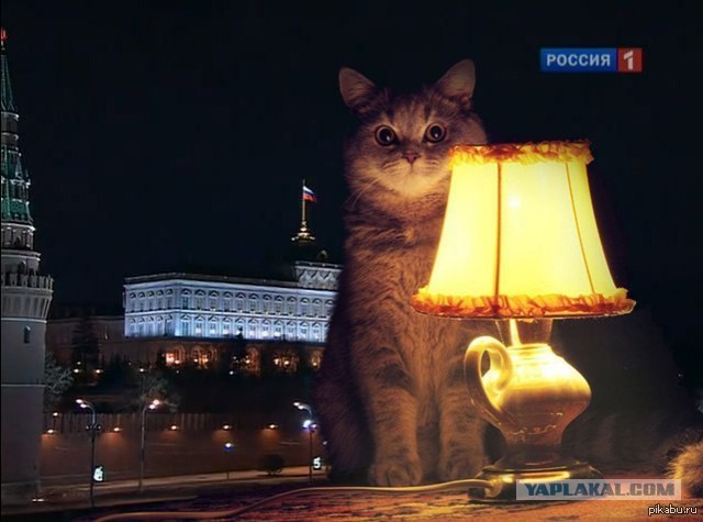 Навальный. Посольство США. День Рождения.
