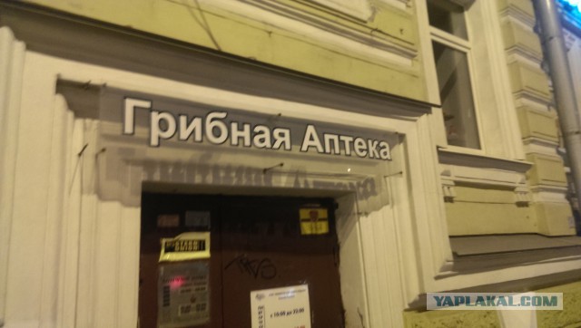 Питерские модники
