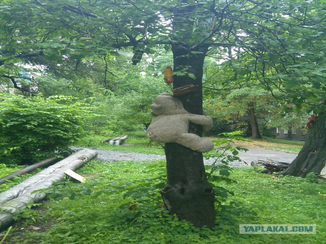 Наши дворы