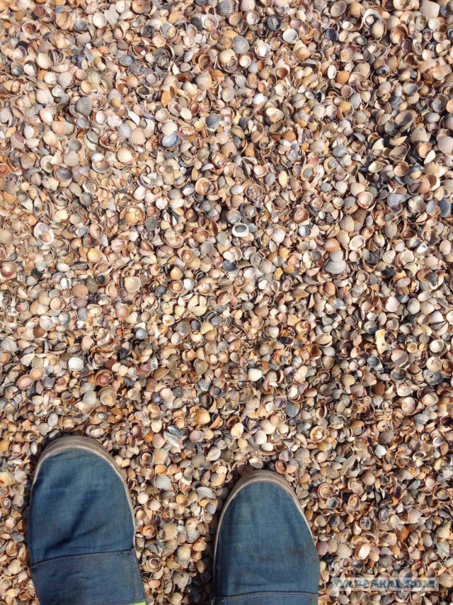 Как не попасть из Москвы в Абхазию на автомобиле