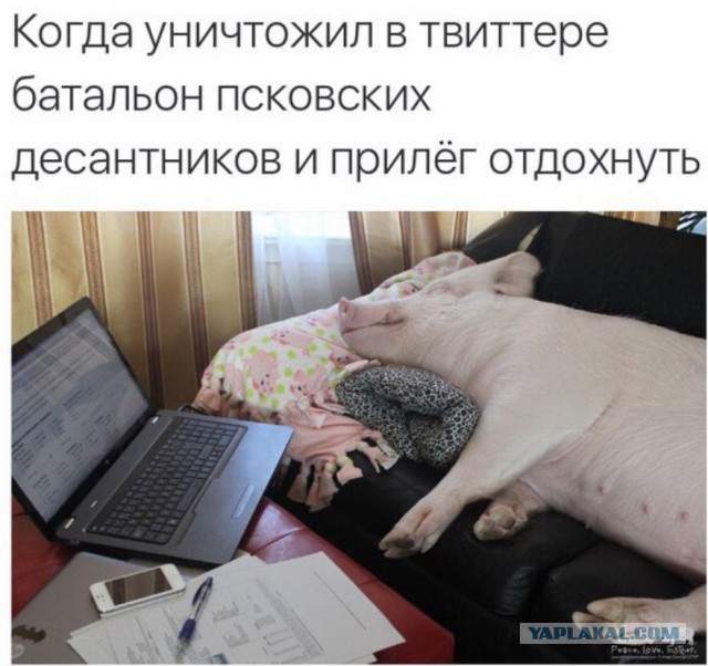 Мощщь Украины