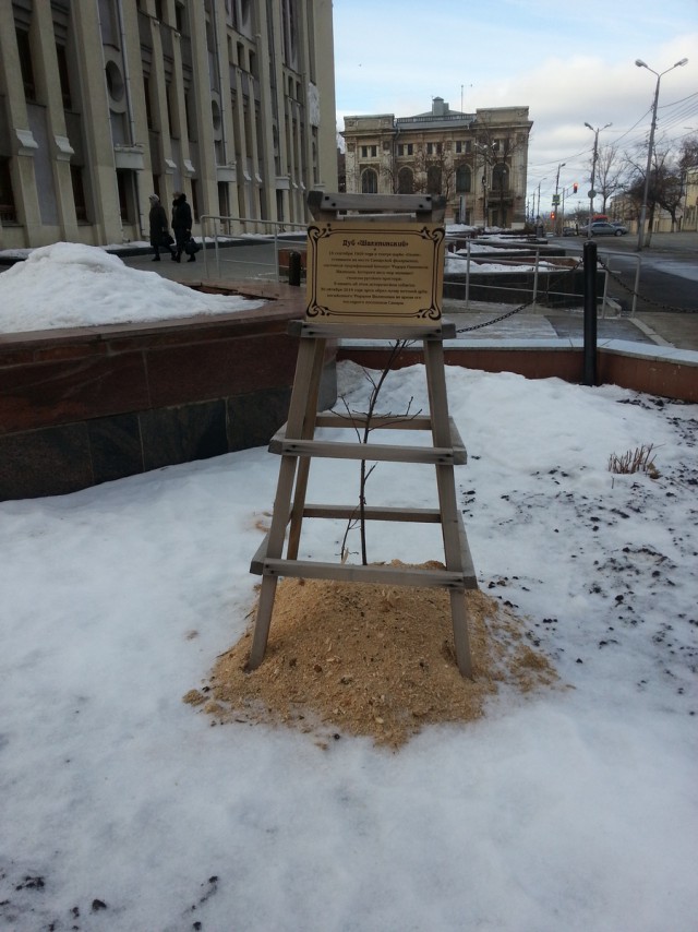 Кто в Самаре жил, тот в цирке не смеется