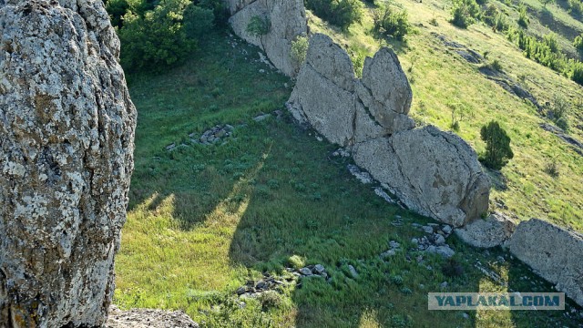 Клад в погребе старого дома!