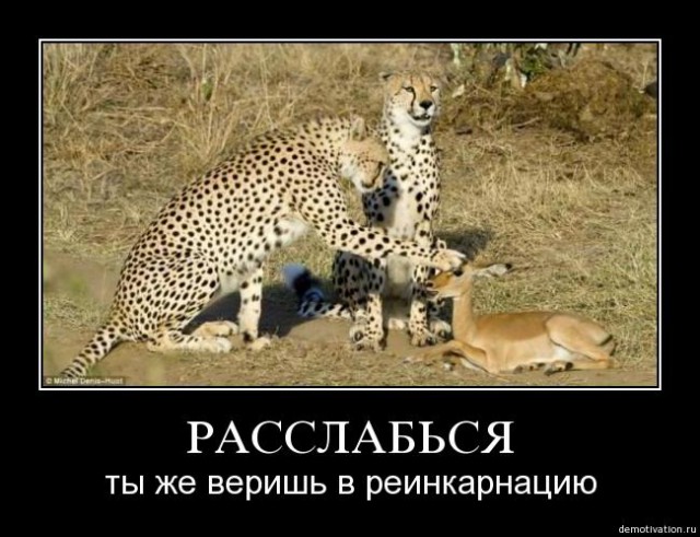 Поляна чёрного юмора и цинизма