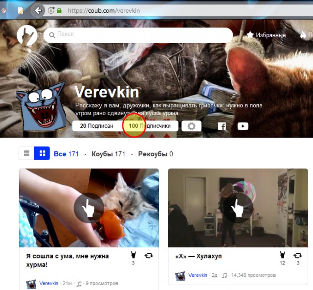 Котенок ест хурму