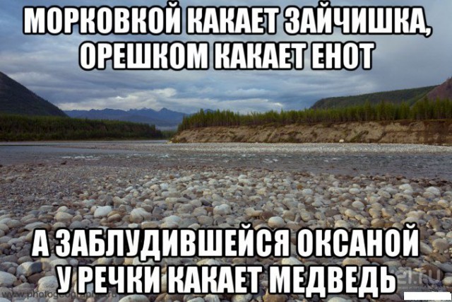 Про медведа и говно