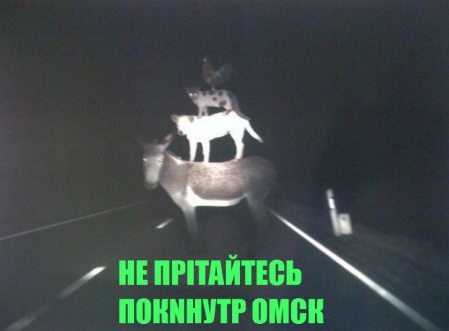 Мастурбатор-виртуоз