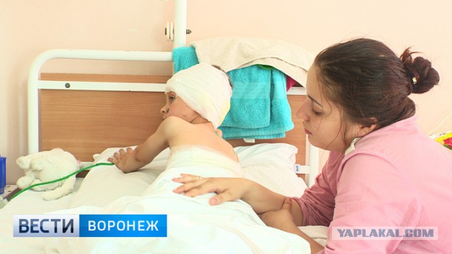 Ротвейлер разорвал пятилетнего мальчика в Воронеже