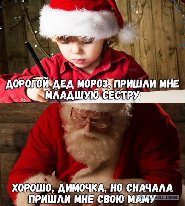 Скотсети и прочие интернеты