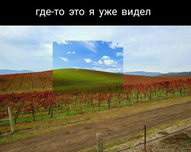 Картинки из сети