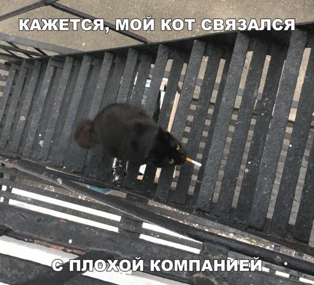 Нестандартный юмор