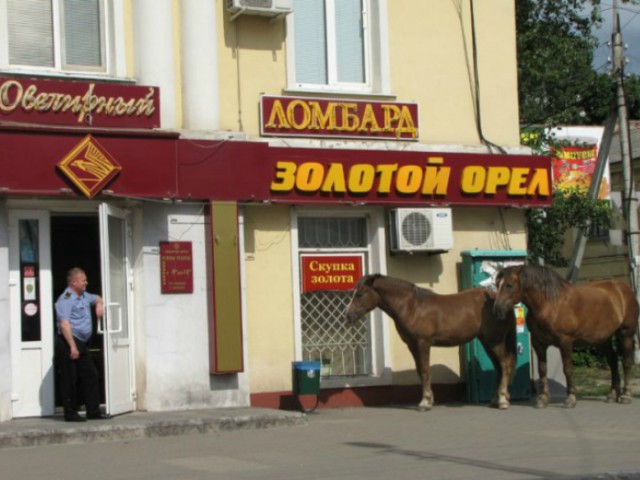 Россия - страна контрастов