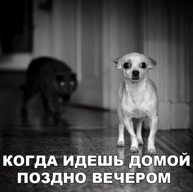 Нестандартный юмор