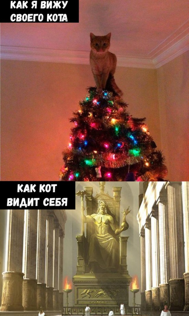 Бросай политоту, картинок завезли!