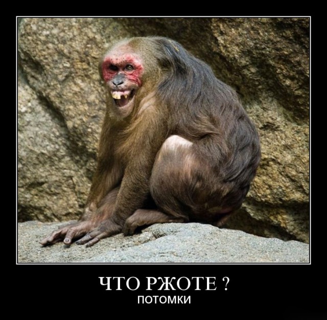 Нестандартный юмор