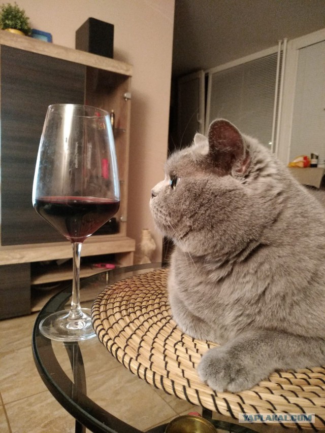 Милоты пост